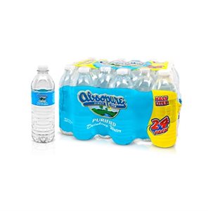 ABSOPURE WATER 16.9OZ / 24CT