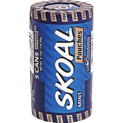 SKOAL POUCH MINT 5CT