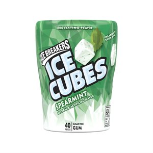 ICE CUBES GUM SPEARMINT BTL 4CT