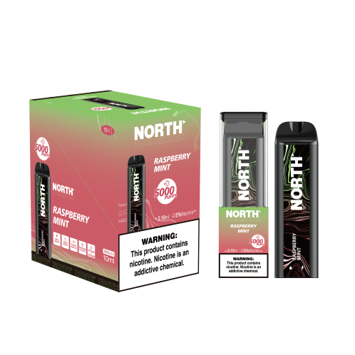 NORTH RASPBERRY MINT 5000 PUFF 10CT