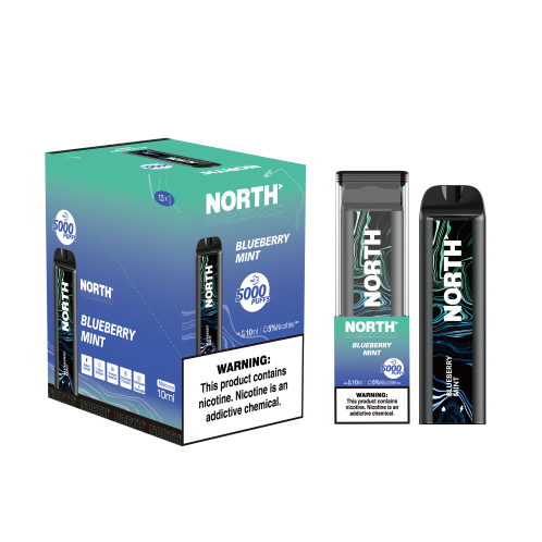 NORTH BLUEBERRY MINT 5000 PUFF 10CT