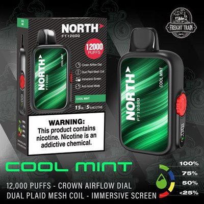 NORTH COOL MINT 12000 PUFF 10CT