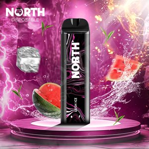 NORTH LUSH ICE 5000 PUFF 10CT